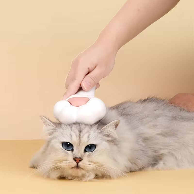 cat groom, essentials