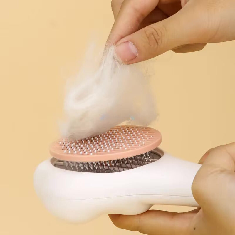 cat groom, essentials